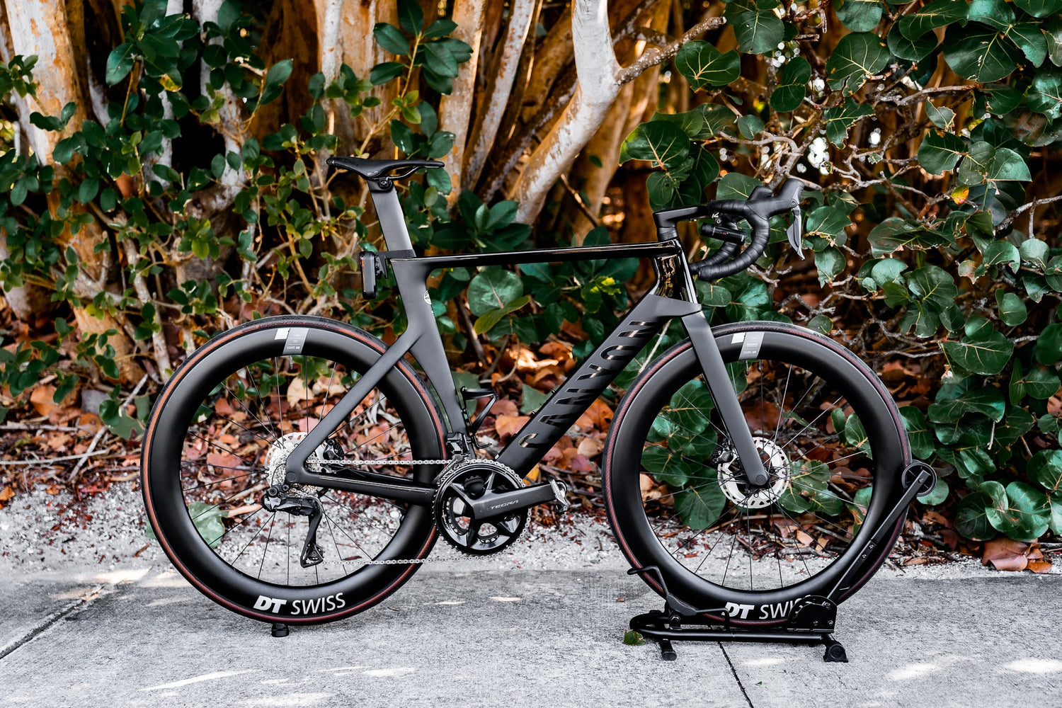Canyon Aeroad
